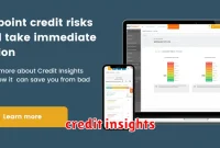 credit insights