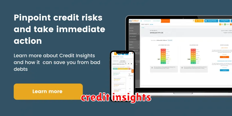 credit insights