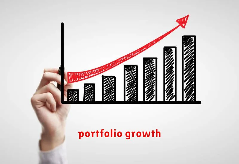 portfolio growth